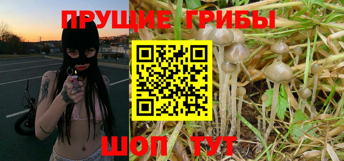Галлюциногенные грибы MAGIC MUSHROOMS Урюпинск