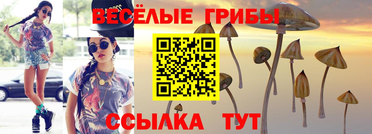 Галлюциногенные грибы мухоморы  цена наркотик  Урюпинск  Вход с VPN 